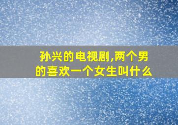 孙兴的电视剧,两个男的喜欢一个女生叫什么