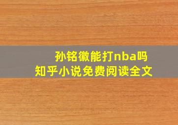 孙铭徽能打nba吗知乎小说免费阅读全文