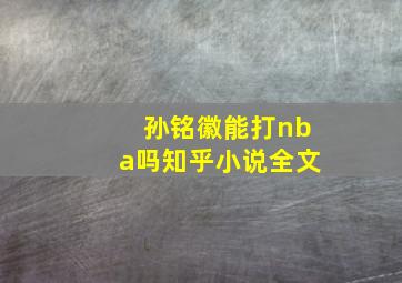 孙铭徽能打nba吗知乎小说全文