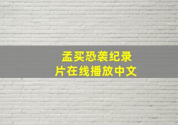 孟买恐袭纪录片在线播放中文