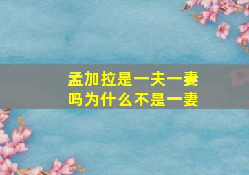 孟加拉是一夫一妻吗为什么不是一妻