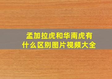 孟加拉虎和华南虎有什么区别图片视频大全