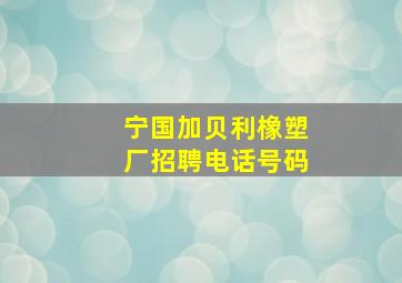 宁国加贝利橡塑厂招聘电话号码