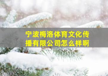 宁波梅洛体育文化传播有限公司怎么样啊