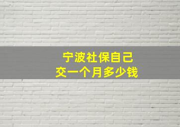 宁波社保自己交一个月多少钱