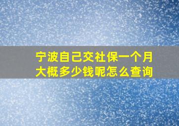 宁波自己交社保一个月大概多少钱呢怎么查询