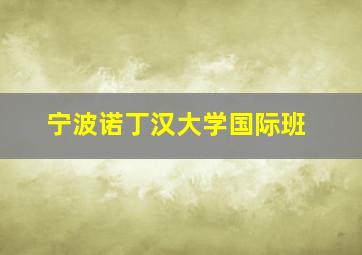 宁波诺丁汉大学国际班