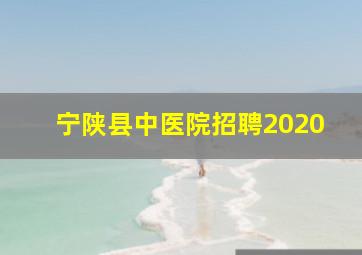 宁陕县中医院招聘2020