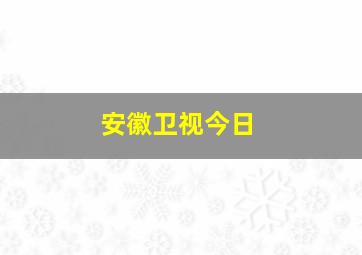 安徽卫视今日