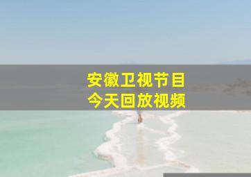 安徽卫视节目今天回放视频