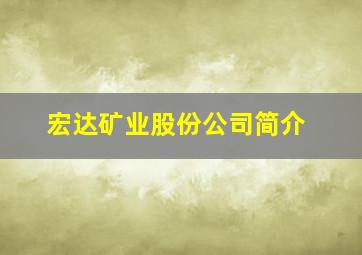 宏达矿业股份公司简介