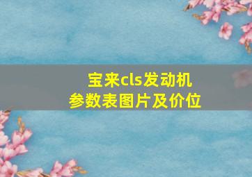 宝来cls发动机参数表图片及价位