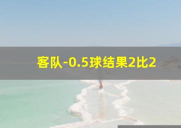 客队-0.5球结果2比2