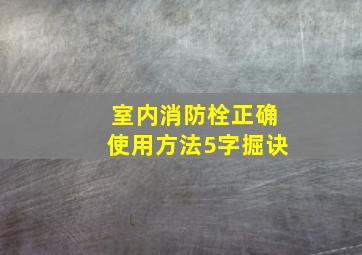 室内消防栓正确使用方法5字掘诀