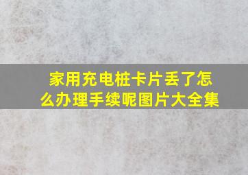 家用充电桩卡片丢了怎么办理手续呢图片大全集