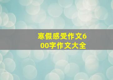 寒假感受作文600字作文大全