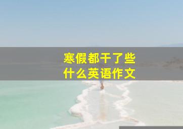 寒假都干了些什么英语作文