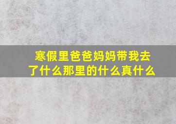 寒假里爸爸妈妈带我去了什么那里的什么真什么