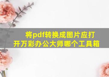 将pdf转换成图片应打开万彩办公大师哪个工具箱