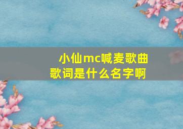 小仙mc喊麦歌曲歌词是什么名字啊