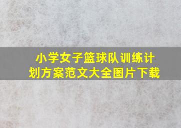 小学女子篮球队训练计划方案范文大全图片下载