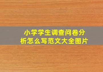 小学学生调查问卷分析怎么写范文大全图片