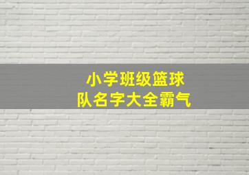 小学班级篮球队名字大全霸气