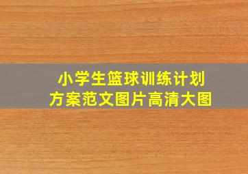 小学生篮球训练计划方案范文图片高清大图