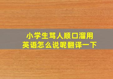 小学生骂人顺口溜用英语怎么说呢翻译一下