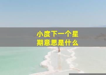 小度下一个星期意思是什么