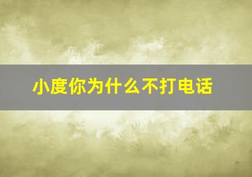 小度你为什么不打电话