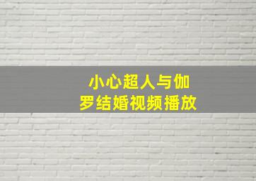 小心超人与伽罗结婚视频播放