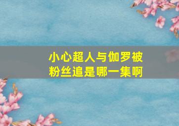 小心超人与伽罗被粉丝追是哪一集啊