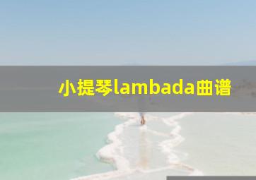 小提琴lambada曲谱