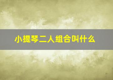 小提琴二人组合叫什么