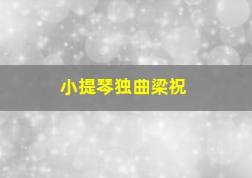 小提琴独曲梁祝