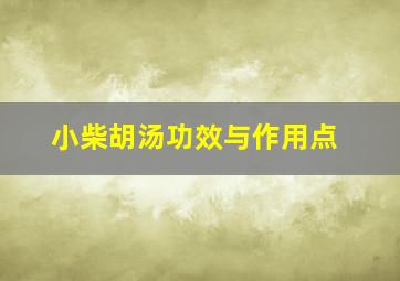 小柴胡汤功效与作用点