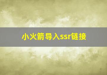 小火箭导入ssr链接