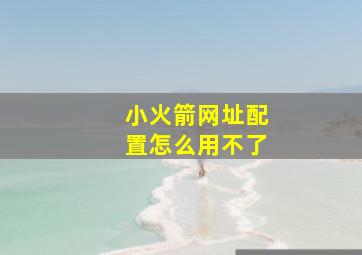 小火箭网址配置怎么用不了