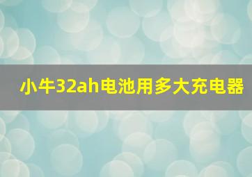 小牛32ah电池用多大充电器