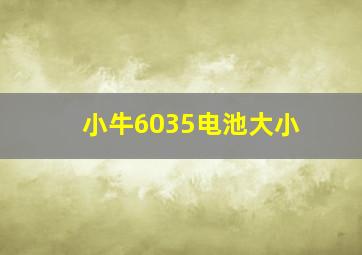 小牛6035电池大小