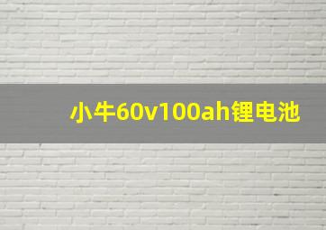 小牛60v100ah锂电池