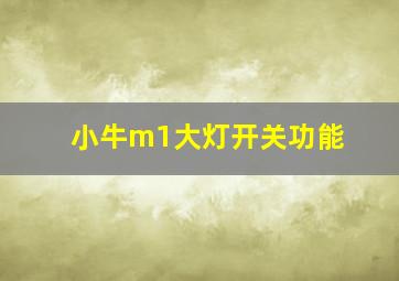 小牛m1大灯开关功能