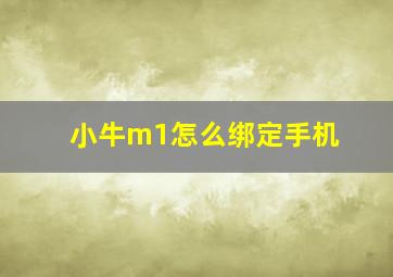 小牛m1怎么绑定手机