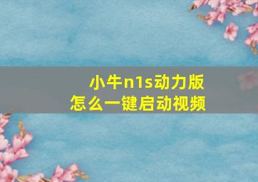 小牛n1s动力版怎么一键启动视频