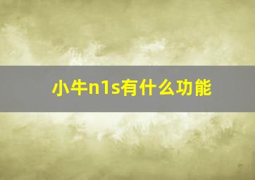 小牛n1s有什么功能