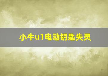 小牛u1电动钥匙失灵