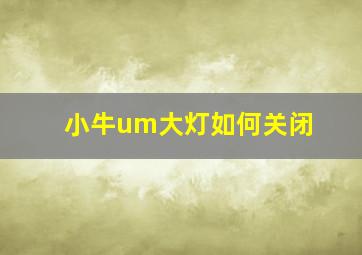 小牛um大灯如何关闭