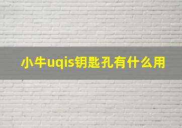 小牛uqis钥匙孔有什么用