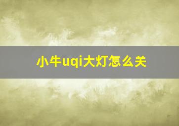 小牛uqi大灯怎么关